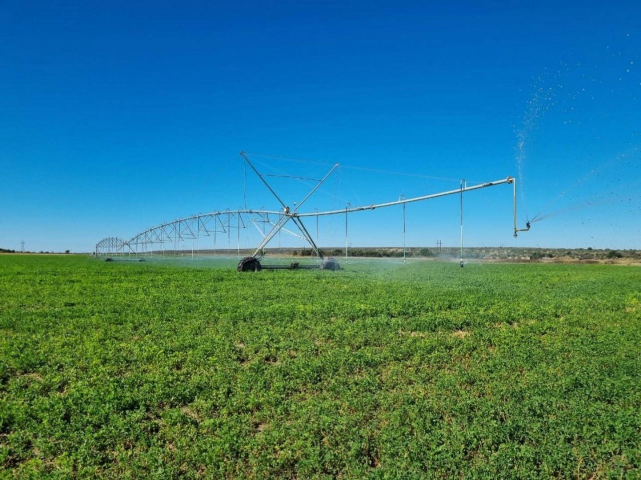 IRRIGATION AND GRAZING FARM FOR SALE - BARKLY WEST -DELPORTSHOOP photo 3