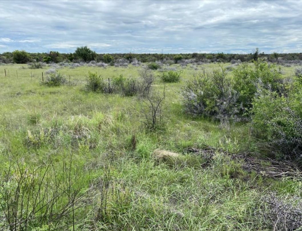 IRRIGATION AND GRAZING FARM FOR SALE - BARKLY WEST -DELPORTSHOOP photo 5