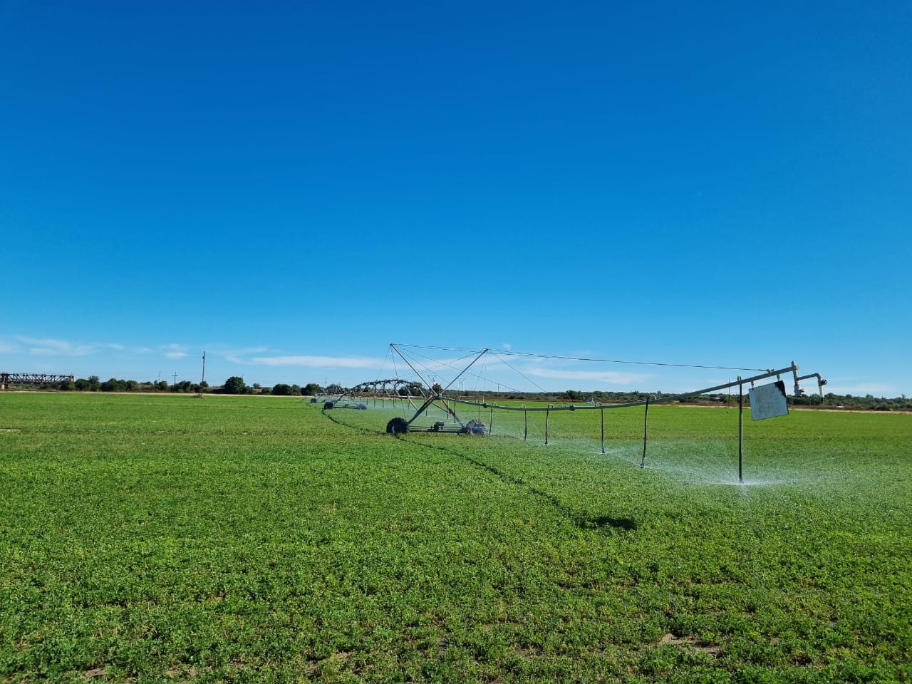 IRRIGATION AND GRAZING FARM FOR SALE - BARKLY WEST -DELPORTSHOOP photo 4