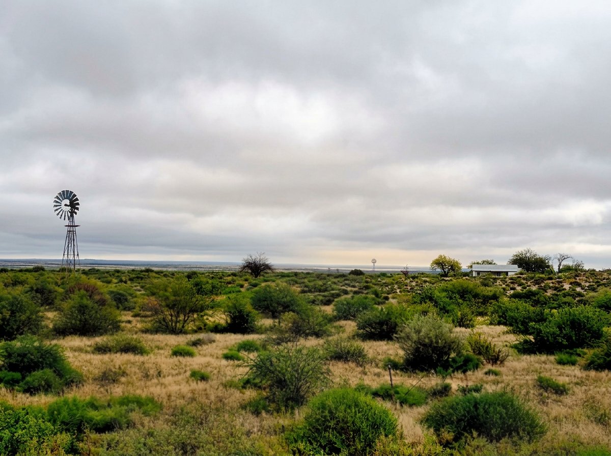 10 986 ha Karoo Livestock Farm with Seven Titles for Sale near Van Wyksvlei, Carnarvon District
