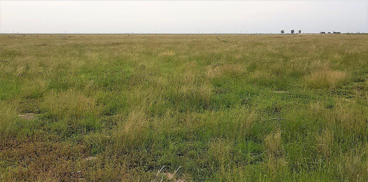 6 Irrigation Farms in the Orange Riet Scheme at Modder River, photo 5