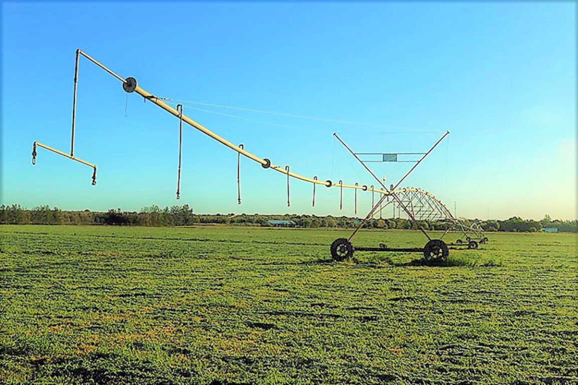 6 Irrigation Farms in the Orange Riet Scheme at Modder River, photo 4