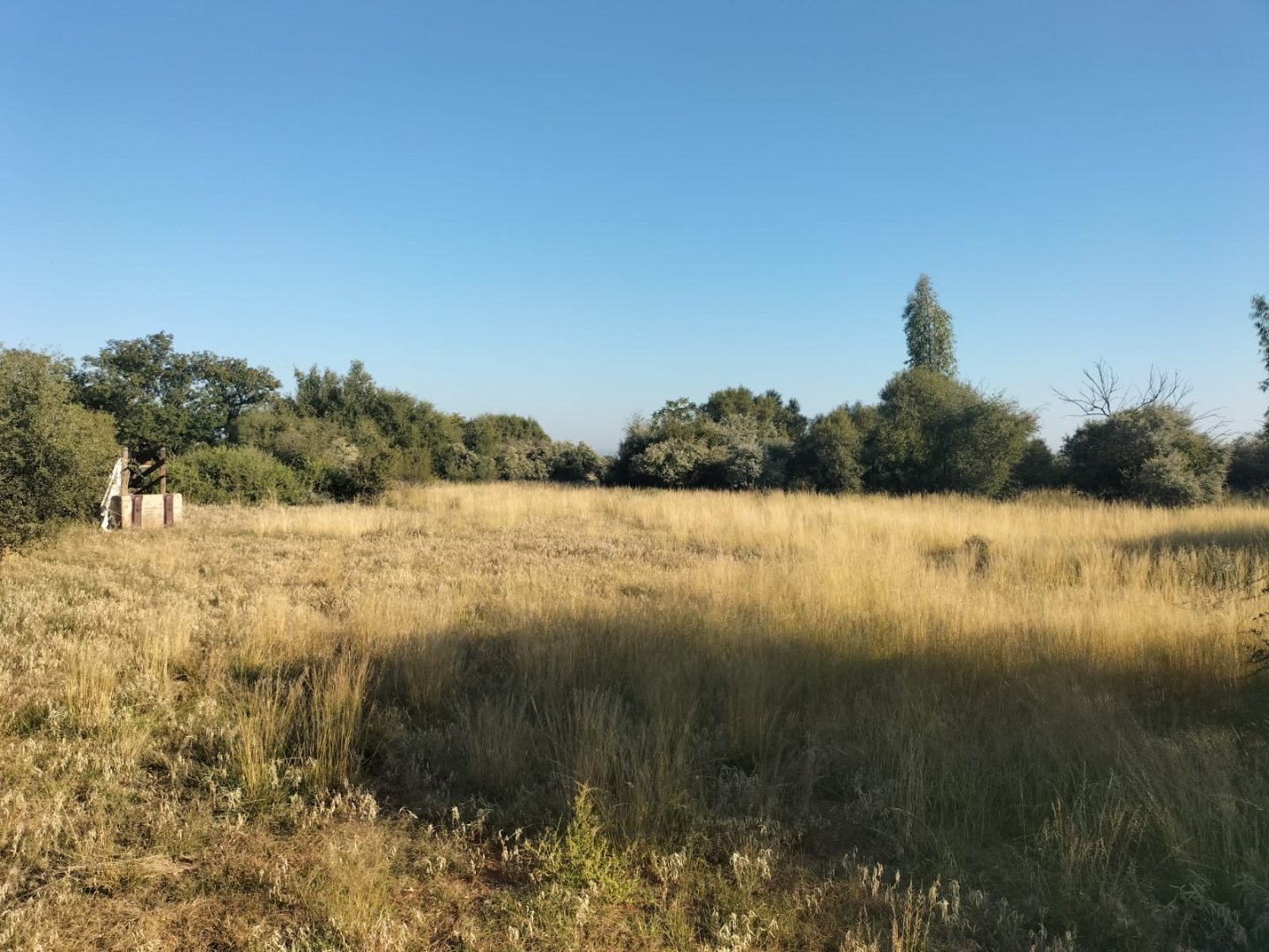698 ha Cattle Farm for Sale near Kimberley with 7 km N12 Frontage photo 3