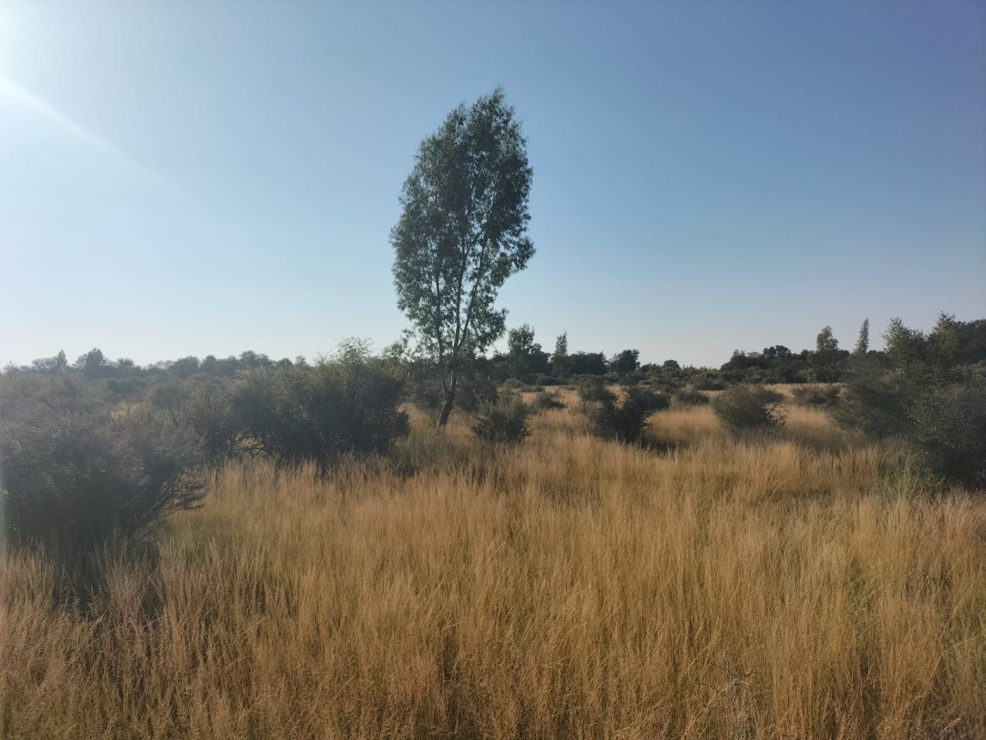 698 ha Cattle Farm for Sale near Kimberley with 7 km N12 Frontage photo 5