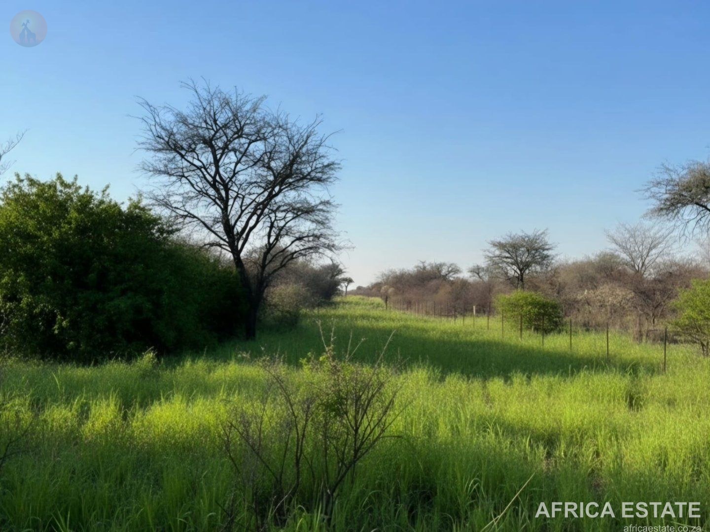 1027,8475 ha Livestock Grazing Farm near Vryburg in Ganyesa photo 5