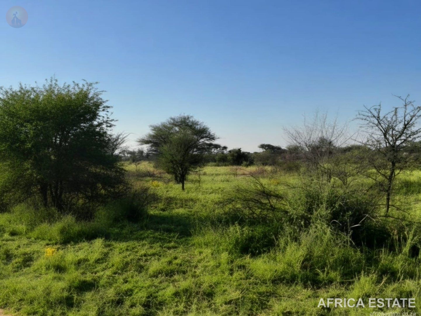 1027,8475 ha Livestock Grazing Farm near Vryburg in Ganyesa photo 3
