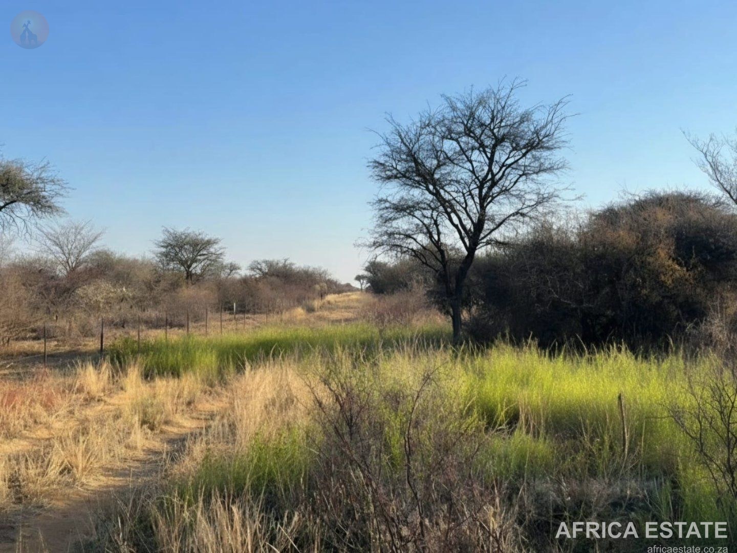 1027,8475 ha Livestock Grazing Farm near Vryburg in Ganyesa photo 4